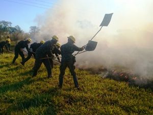 Combate a Incêndio Florestal